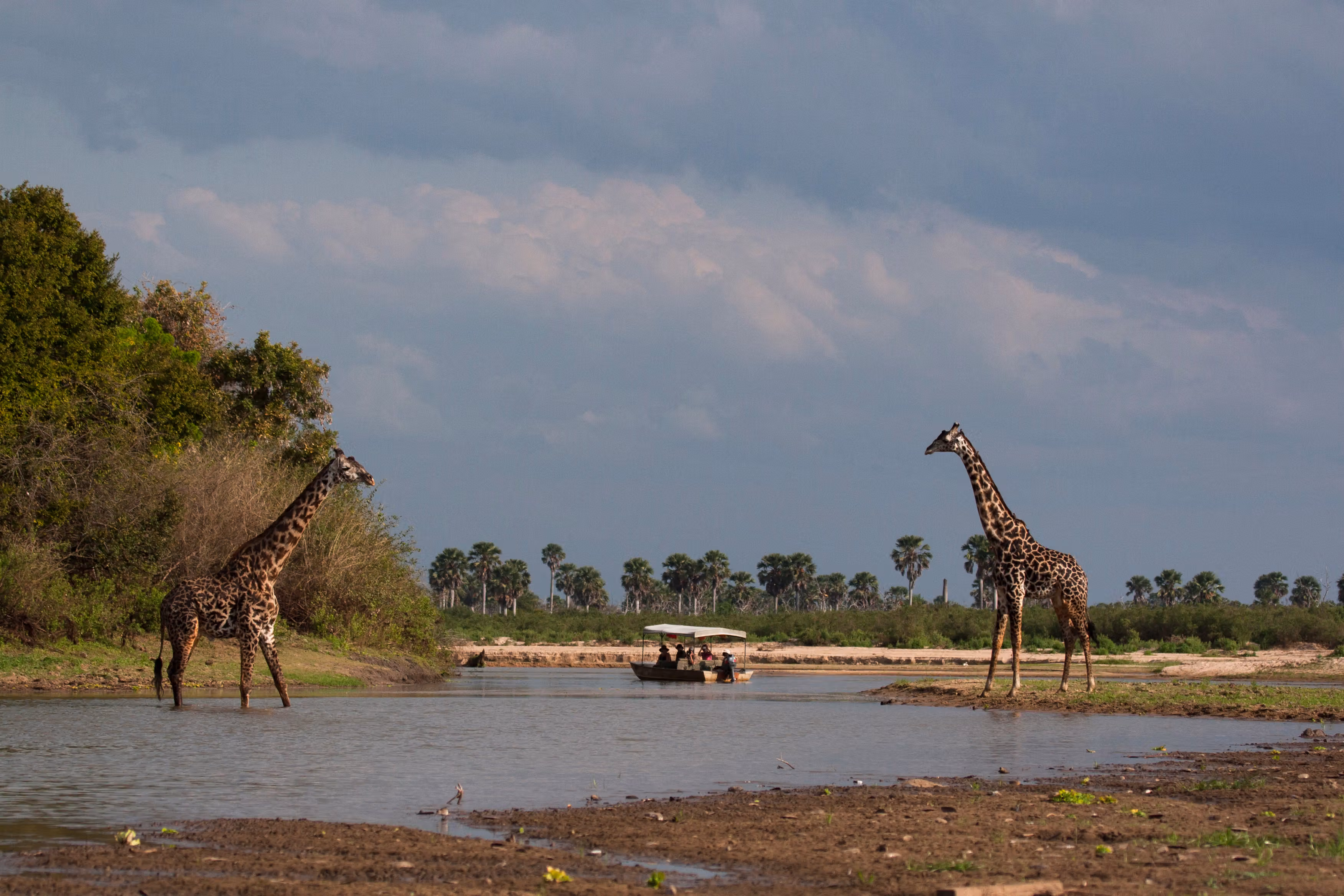 2-Day Nyerere Midrange Safari from Zanzibar