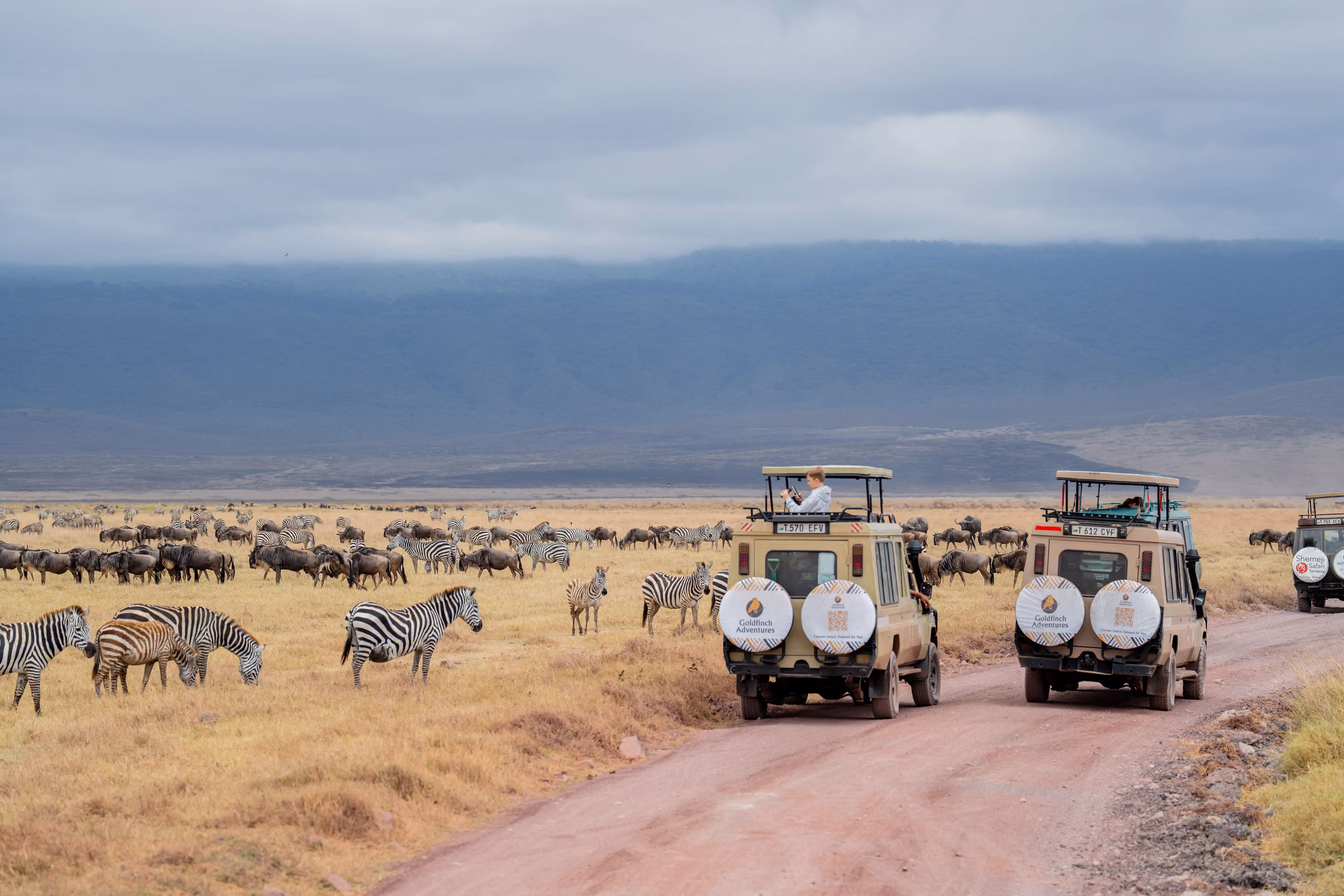 5-Day Safari from Zanzibar to All Major Northern Parks
