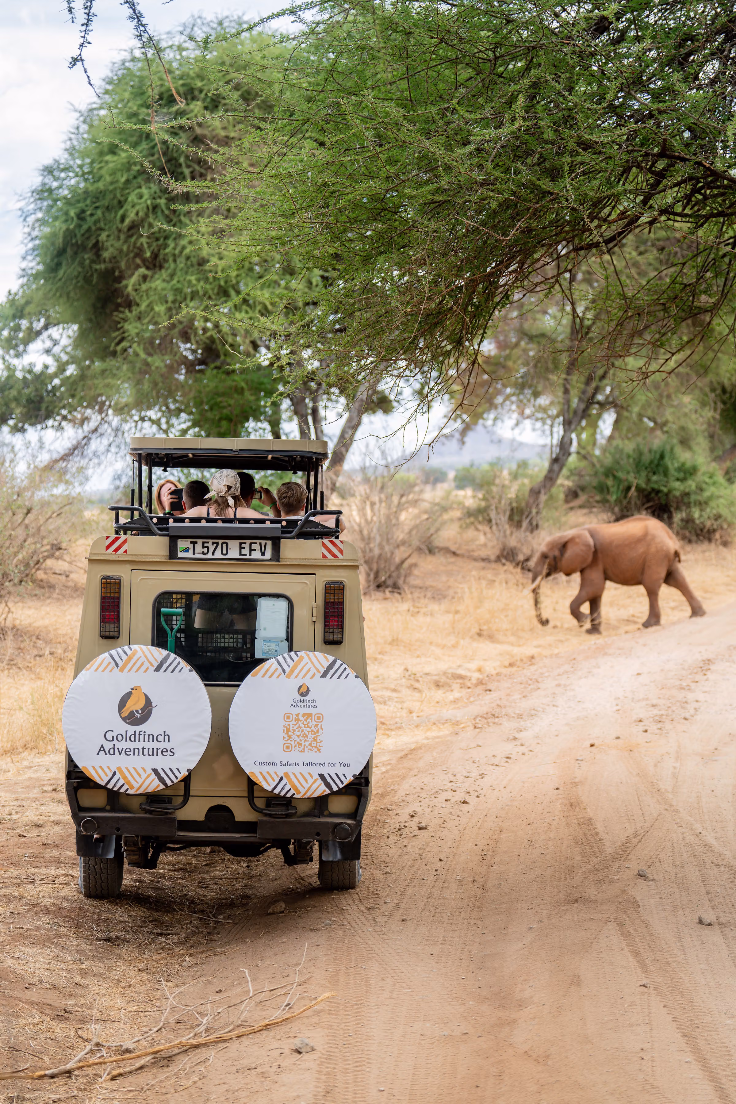 3-Day Tarangire, Ngorongoro & Manyara Luxury Safari from Zanzibar