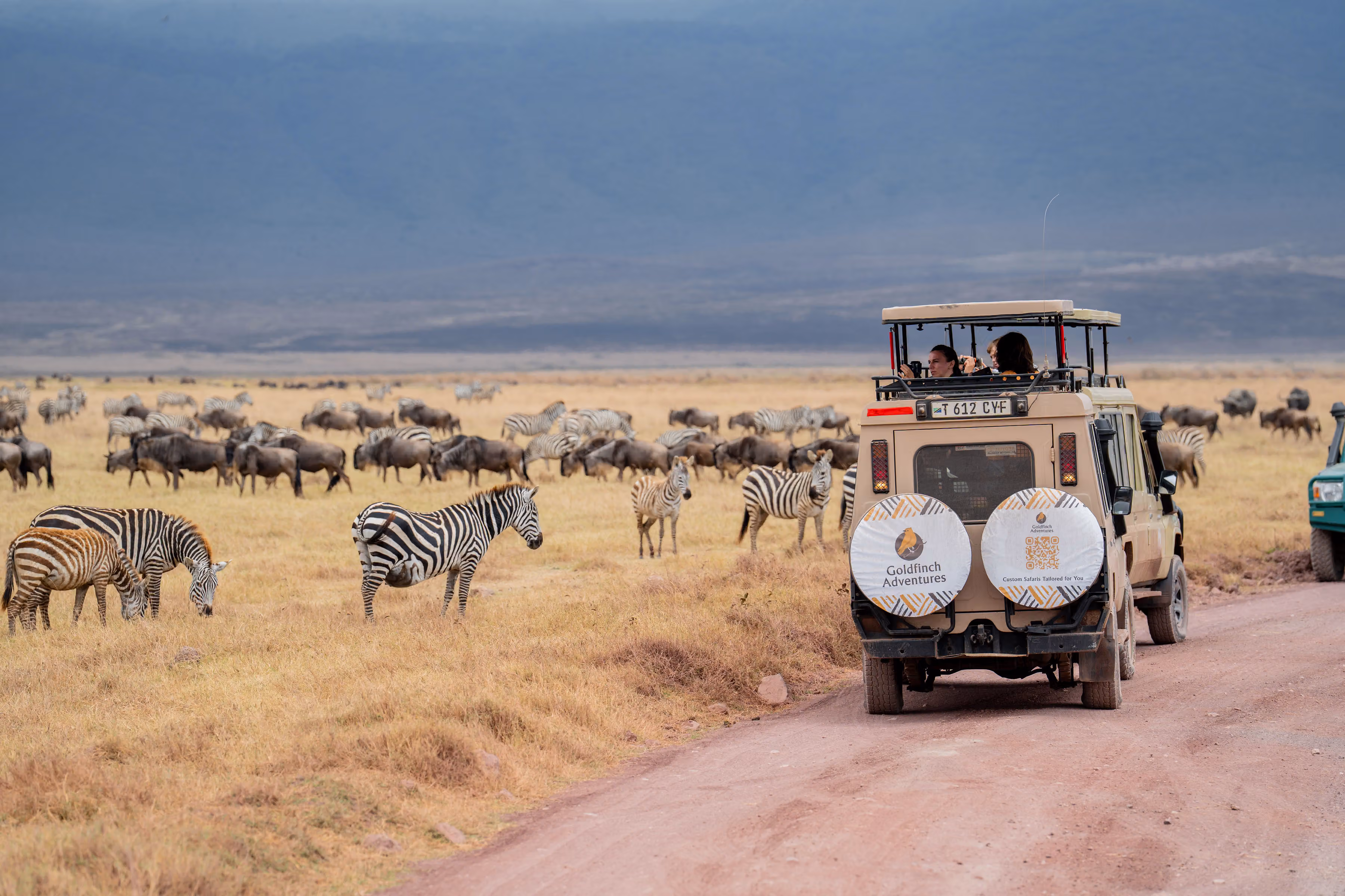 6-Day Serengeti Safari from Zanzibar | Tanzania Wildlife Tour